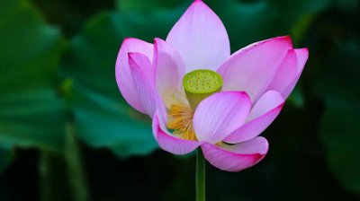 ​频繁聊天后突然冷淡（频繁聊天后突然冷淡要不要去联系）