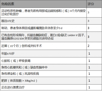 ​padua怎么读（padan怎么读英语）