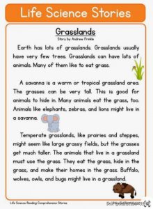 ​草地英语怎么说（草地用英语怎么讲）