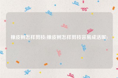 ​橡皮树怎样剪枝(橡皮树怎样剪枝容易成活呢)