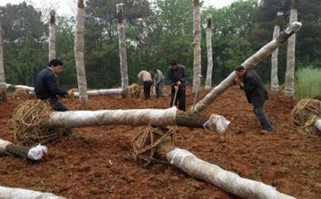 2023年闰二月有什么讲究 兔年闰月需要注意什么