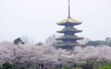 梦见海啸是什么意思？