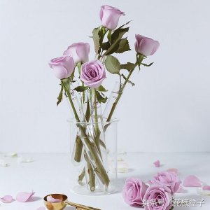 ​有什么花适合送给男生送的 有什么花适合送给男生的花