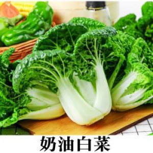 ​奶油白菜是哪个地方的菜(奶油白菜是哪个地方的菜系)