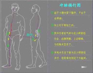 ​奇经八脉 中医上常说的奇经八脉指什么？他们有什么作用呢？