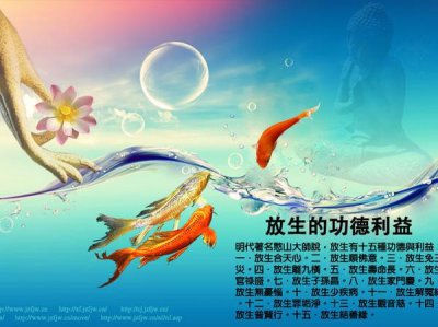 ​放生的好处和功德说说（佛教放生的好处，放生会得到怎样的功德）