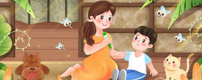 ​双翅目昆虫有哪些科 双翅目昆虫有哪些害虫