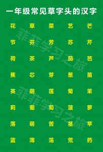 ​草字头的字有哪些（偏旁部首草字头，一年级草字头的汉字，草字头考试知识点）
