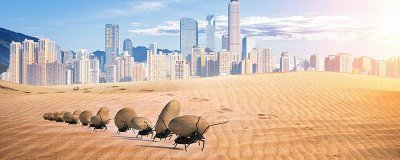 ​飞蚂蚁咬人吗 飞蚂蚁咬怎么办