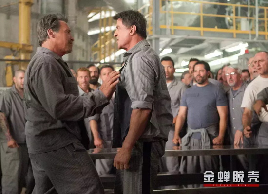 监狱经典电影有哪些（七部经典监狱电影推荐）