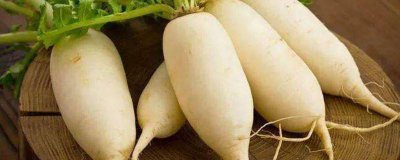 ​沙糖桔不可以和什么一起吃呢[沙糖桔不能和什么一起吃]