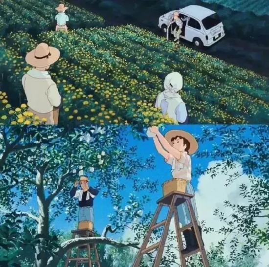 有哪些治愈系的动漫电影好看（宅家必看的6部治愈系动漫电影推荐）