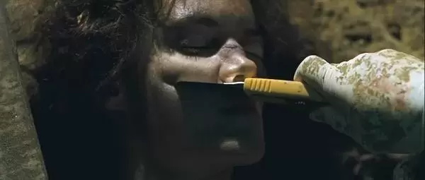 好看的法国恐怖电影有哪些（6部法国恐怖惊悚电影推荐）