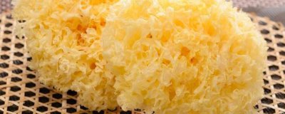 ​银耳要泡多久不能吃 银耳要泡多久煮多久