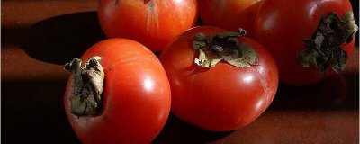 ​啤酒与柿子能一起吃吗 啤酒跟柿子可以一起吃吗