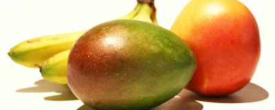 ​攀枝花晚熟芒果上市时间 攀枝花芒果什么时候成熟