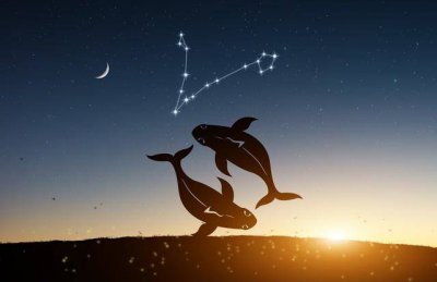 ​水瓶座是黄道星座之第十一宫，出生日期为1月20日到2月18日