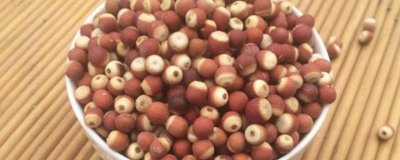 ​莲子和芡实的功效和作用 莲子和芡实的功效与禁忌