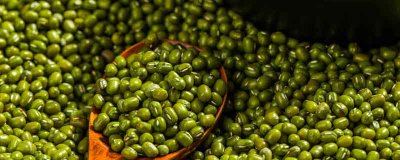 ​绿豆汤电饭煲煮多久 绿豆汤在电饭锅里要煮多久