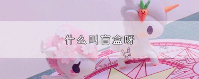 ​盲盒是什么生肖 盲盒是什么行业