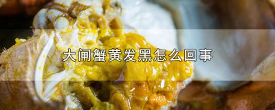 ​螃蟹蟹黄发黑是什么原因 螃蟹蟹黄黑色是怎么回事