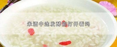 ​米酒发酵中可以打开或是中途加水吗 米酒发酵过程中可以打开吗