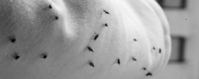 ​家里垃圾桶的小飞虫怎么消灭 垃圾桶里的小飞虫怎么灭