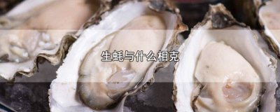 ​生蚝和什么东西相克 生蚝与什么食物相克