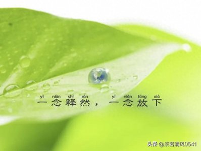 ​女人看淡一切释然句子(真是人间清醒)