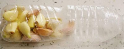 ​如何储存大蒜才不生芽 大蒜要怎样保存才不会发芽呀