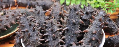 ​买回的海参怎样处理 买回来的鲜海参怎么处理