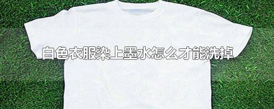 ​白色衣服弄了墨水用什么能洗掉 白色衣服弄了墨水怎么洗