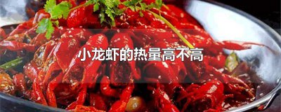 ​小龙虾热量量高吗 小龙虾为什么热量高