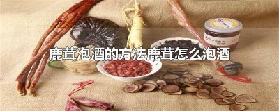 ​怎样用鹿茸泡酒 用鹿茸怎样泡酒