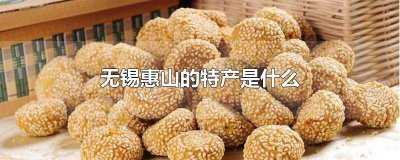 ​无锡惠山的特特产是什么 无锡惠山的特产是什么东西