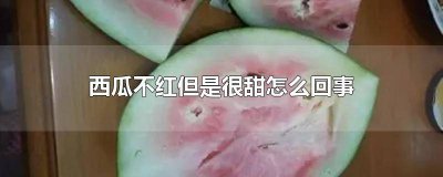 ​西瓜很红但不甜怎么回事 西瓜很红但不甜怎么办