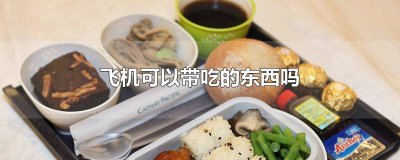 ​坐飞机吃的东西可以带吗 坐飞机能带吃的东西吗