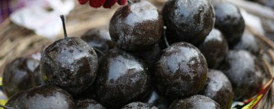 ​冻梨要冻多少天[冻梨需要冻几天]