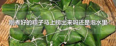 ​刚煮完的粽子需要从锅里捞出来吗 粽子煮好了是泡在水里还是拿起来