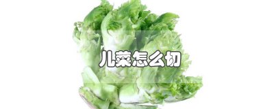 ​儿儿菜怎么切 儿菜怎么处理视频