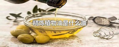 ​方便面的油料包怎么做的 方便面调料包用的什么油