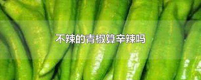 ​不辣的青椒算辛辣食物吗 青椒不辣算不算是辛辣食物