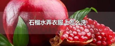 ​衣服弄到石榴水怎么洗掉 衣服弄到石榴水了怎么清洗掉