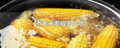 ​玉米放水里煮要煮多久 玉米煮多久才能煮烂