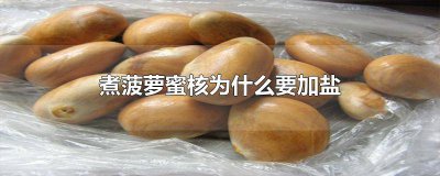 ​煮菠萝蜜核为什么要加盐 煮菠萝蜜核为什么要加盐水