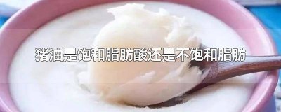 ​猪油含不饱和脂肪酸吗 猪油富含不饱和脂肪酸吗
