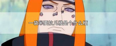 ​一袋米要抗几楼一袋米要抗两楼 一袋米要抗几楼谁说的