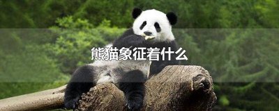 ​熊猫象征着什么英语翻译 熊猫的象征意义英文