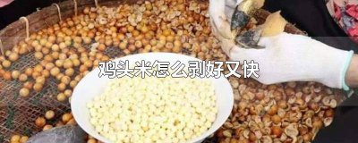 ​鸡头米的剥开技巧是什么 鸡头米如何剥开