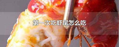 ​吃龙虾应该怎么吃 第一个吃龙虾